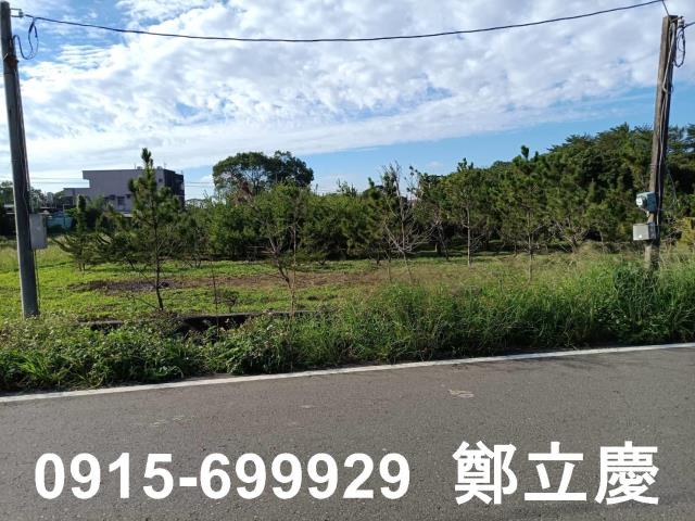 桃園農地-2