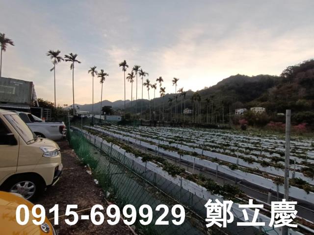 大湖農地-1