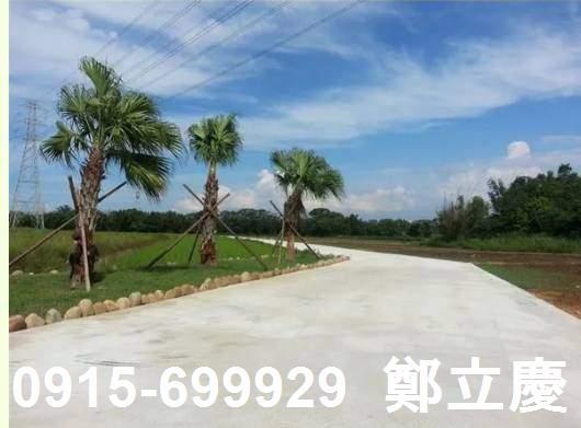 桃園農地-0