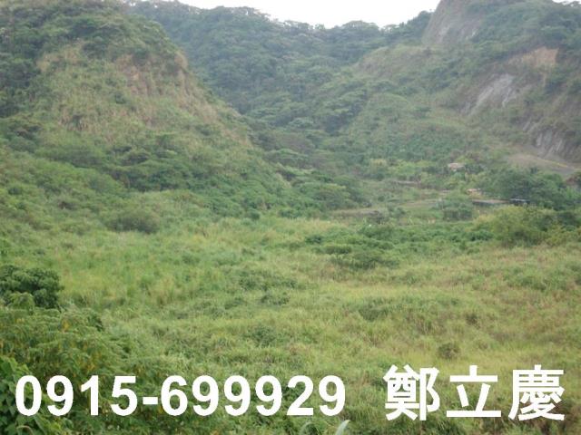 新北農地-2